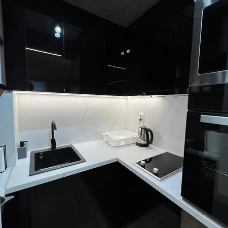 Nova Planina Djokic Apartment *